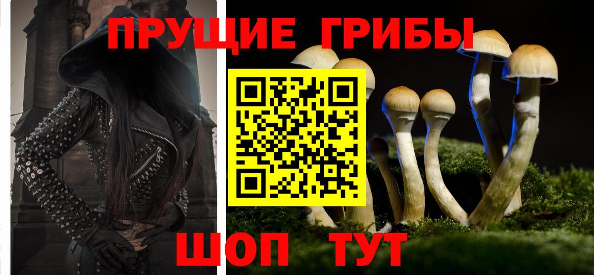 Псилоцибиновые грибы Magic Shrooms  хочу наркоту  Серов  Вход с VPN 