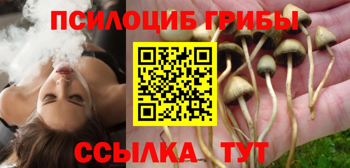 Галлюциногенные грибы GOLDEN TEACHER Серов